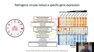 Pleural Macrophages Promote Recovery From Influenza Virus Infection