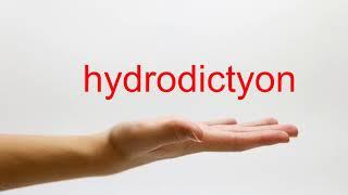 How to Pronounce hydrodictyon - American English