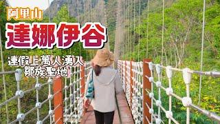 爆紅過的『達娜伊谷自然生態公園』目前仍然有收門票它的現況如何？