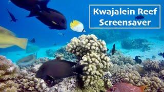 Kwaj Reef Screensaver 11