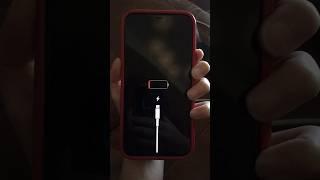iPhone 11 Dead Battery
