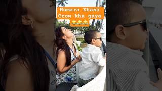 Bird feeding #bachpan #childhood #cutebaby #kidsvideo #kidslearning #birds #feed #momlife #babyboy