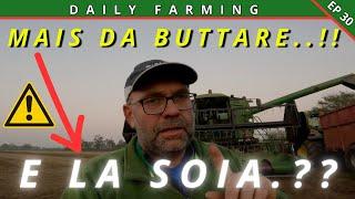 ** TREBBIATURE MAIS E SOIA ** | FINALE DISASTROSO | DAILY FARMING EP 30