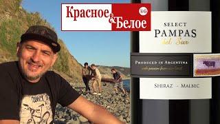 КиБ. Pampas Del Sur Shiraz Malbec