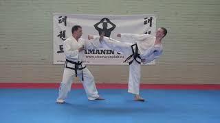 3. 7-й Гуп. До-Сан Туль / Do-San Tul (Pattern) - Taekwon-Do ITF. Shamanin Club (Russia).