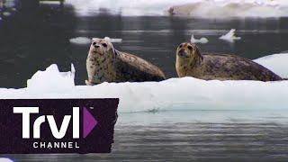 5 Majestic American Landscapes | Travel Channel
