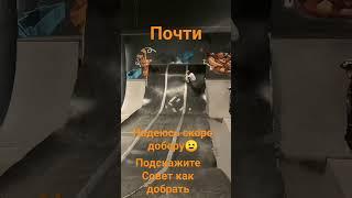 #inmotion почти