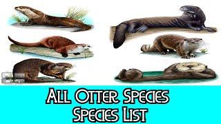 All Otter Species - Species List