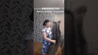 Платок пуховый/Косынка пуховая/Штаны/Наколенники пуховые/Манишка пуховая/Кофта/Свитер/Шапочка