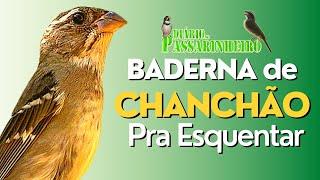 BADERNA DE CHANCHÃO