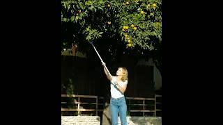 Most Useful Hacks | Telly Khazana |  #shortsfeed  #facts  #experiment