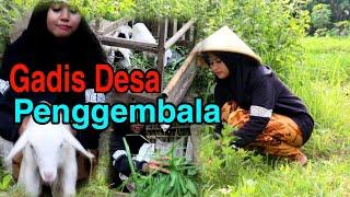 Rajin cari rumput, Gadis Desa Penggembala hidup sederhana di kampung #viral #trendingkan