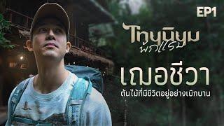 ไทยนิยมพักแรม EP.1  เฌอชีวา : ต้นไม้ที่มีชีวิตอยู่อย่างเบิกบาน