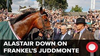 Stunning York Moments: Frankel's Juddmonte