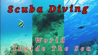 Beautiful World Inside the Ocean Scuba Diving| Portblair Adventure life #newvlog