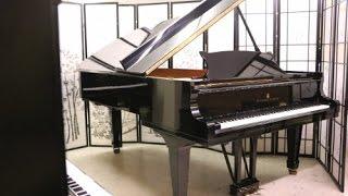 Hamburg Steinway C 7'3" 1980 Pristine w//New Hamburg Steinway Hammers $45,500.