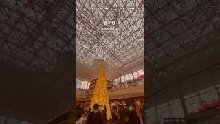 South Korea  starfield coex mall Seoul 