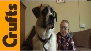 Owen & Haatchi | Friends For Life 2013 Winners