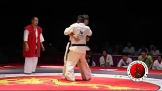 2010 WKO World Kumite Championships Middleweight Finals