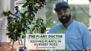 Keeping Your Plants In Nursery Pots | The Plant Doctor