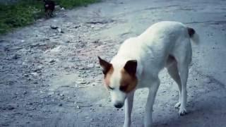 Дима Олейник - Не живи зря (официальное видео 2016)