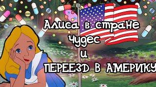 Алиса в стране чудес и Переезд в Америку | Смешная озвучка