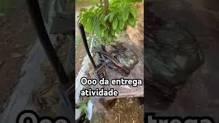 #Dz na abordagem #muito drama e suspense
