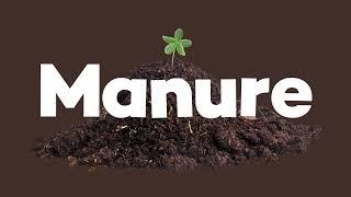 WHAT IS MANURE  Episodes for Kids | Lingokids