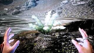 Nirnroot