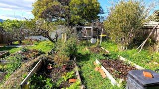 Jesus what a MESS! Watch me RESCUE this BACKYARD!