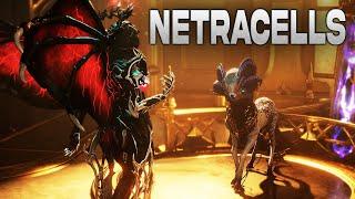 Warframe Netracell Guide - Legendary Melee Arcanes | Tauforged Archon Shards & Adapters