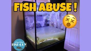 FISH RESCUE! | Rescuing TROPICAL FISH from SWAMPY AQUARIUM!