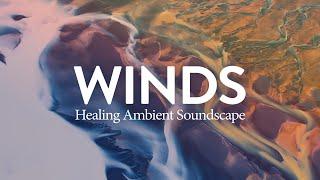 Winds Whispers of Wisdom  Music to Elevate Your Soul | See the Higher Perspective