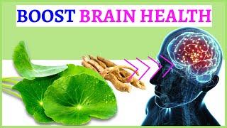 5 Herbs That Boosting Brain Power and Memory