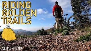 Mountainbike riding GOLDEN TRAILS | CANYON Spectral