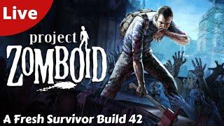 A Fresh Survivor In Build 42 - Project Zomboid - #01 - live