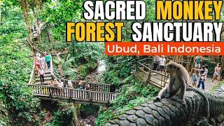 The Sacred Monkey Forest Sanctuary | Monkey Forest Ubud #bali #ubud #monkeyforest