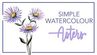 Beautiful Watercolor Asters - For Beginners!