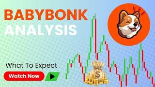 BABYBONK Price Recap Where To Next?