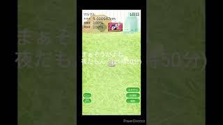 ハリネズミ育成(ゲーム名)一日目