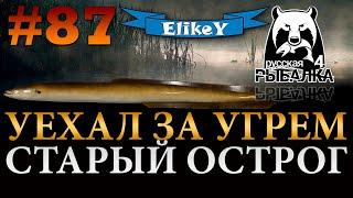 Змеиная Рыбалка! • Уехал за Угрем • Легкий Опыт • Фидер • Старый Острог • Русская Рыбалка 4 #87