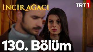 İncir Ağacı 130. Bölüm