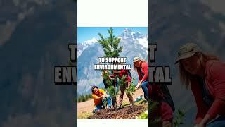 The Evolution of Patagonia: Pioneering Sustainable Business Practices
