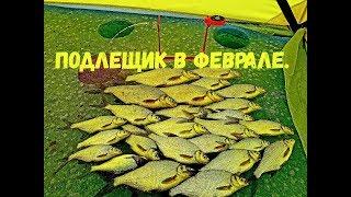 Зимняя Рыбалка / Ловля Подлещика В Феврале/