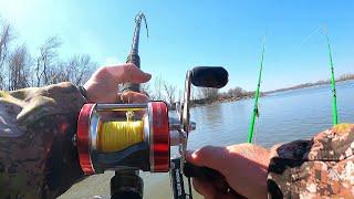 Catfishing Tournament on a MASSIVE RIVER!! (Twisted Cats Tournament Alton, Il)