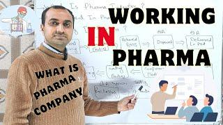 Understanding The Pharmaceutical Industry Working