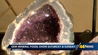 Gem, Mineral, & Fossil Show taking place over the weekend