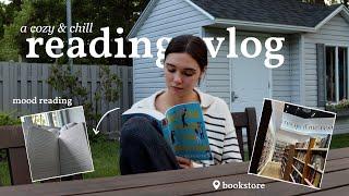 a cozy reading vlog