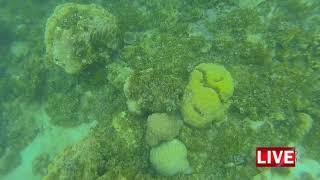 Snorkeling di Pulau Lengkuas Belitung #Pulau Lengkuas #Snorkeling