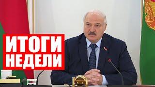 Лукашенко: Посмотри, как отдельные люди относятся к животным! Это недопустимо! / Неделя